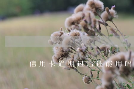 信用卡逾期过后还能用吗 信用卡逾期过后还能用吗
