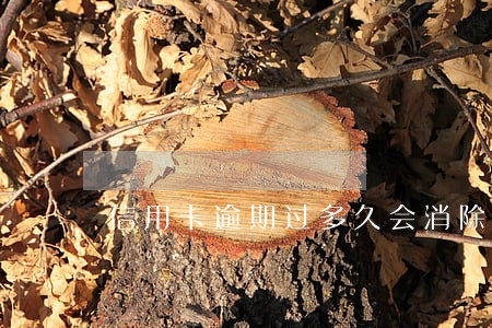 信用卡逾期过多久会消除啊 信用卡逾期过多久会消除啊