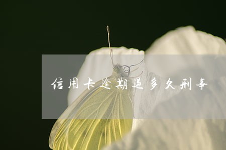 信用卡逾期过多久刑事