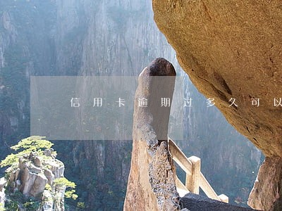 信用卡逾期过多久可以注销 信用卡逾期过多久可以注销