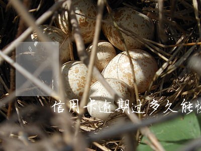 信用卡逾期过多久能恢复信用 信用卡逾期过多久能恢复信用