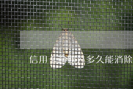 信用卡逾期过多久能消除 信用卡逾期过多久能消除
