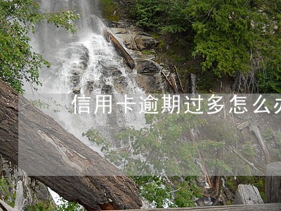信用卡逾期过多怎么办