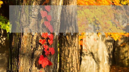 信用卡逾期过多怎么解除