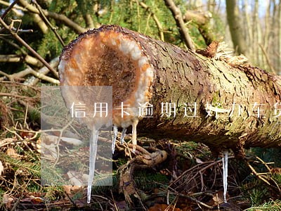 信用卡逾期过好办车贷吗 信用卡逾期过好办车贷吗