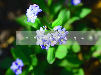 信用卡逾期过对征信 信用卡逾期过对征信