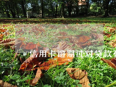 信用卡逾期过对贷款有影响吗 信用卡逾期过对贷款有影响吗