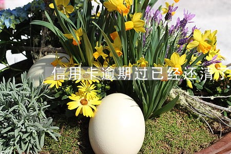 信用卡逾期过已经还清了 信用卡逾期过已经还清了
