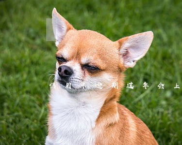 信用卡逾期过年会上门催收吗