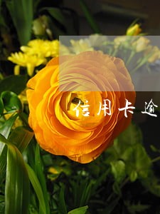 信用卡逾期过年第三方会去家里吗 信用卡逾期过年第三方会去家里吗