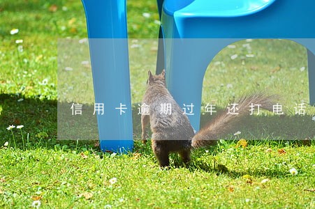 信用卡逾期过年还打电话