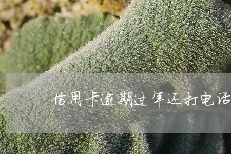 信用卡逾期过年还打电话嘛 信用卡逾期过年还打电话嘛