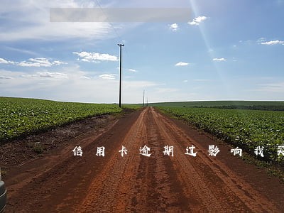 信用卡逾期过影响我买房子吗 信用卡逾期过影响我买房子吗