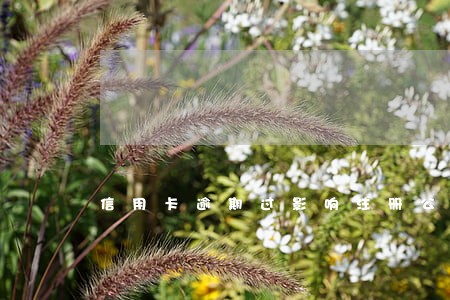 信用卡逾期过影响注册公司吗 信用卡逾期过影响注册公司吗