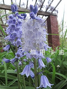 信用卡逾期过征信怎么恢复 信用卡逾期过征信怎么恢复