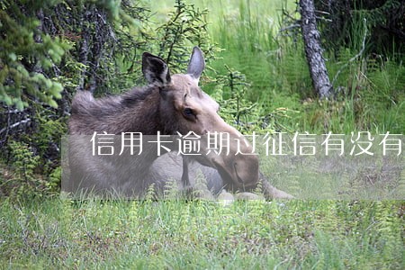 信用卡逾期过征信有没有问题 信用卡逾期过征信有没有问题