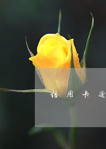 信用卡逾期过征信记录吗 信用卡逾期过征信记录吗