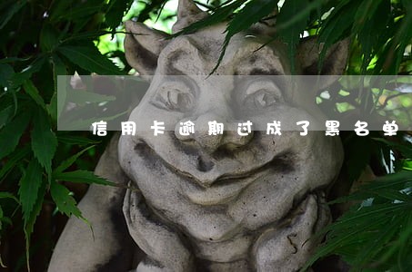 信用卡逾期过成了黑名单了吗 信用卡逾期过成了黑名单了吗