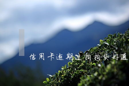 信用卡逾期过拍拍贷好通过吗 信用卡逾期过拍拍贷好通过吗