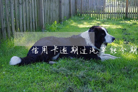 信用卡逾期过汽车能分期吗 信用卡逾期过汽车能分期吗