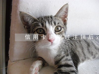 信用卡逾期过注销后还能办吗 信用卡逾期过注销后还能办吗