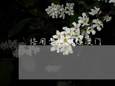 信用卡逾期过澳门