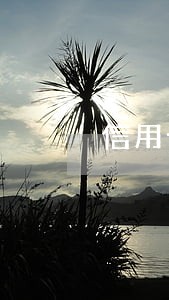 信用卡逾期过然后 信用卡逾期过然后