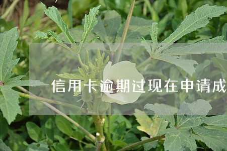 信用卡逾期过现在申请成功