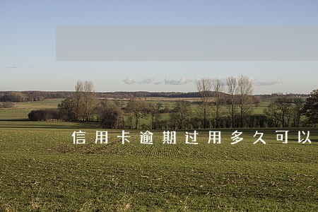 信用卡逾期过用多久可以消 信用卡逾期过用多久可以消