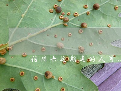 信用卡逾期过的人可以借网贷 信用卡逾期过的人可以借网贷