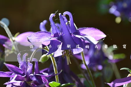 信用卡逾期过的夫妻能贷款吗 信用卡逾期过的夫妻能贷款吗