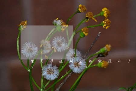 信用卡逾期过的就提不了额了吗