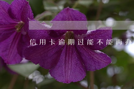 信用卡逾期过能不能再办信用卡 信用卡逾期过能不能再办信用卡