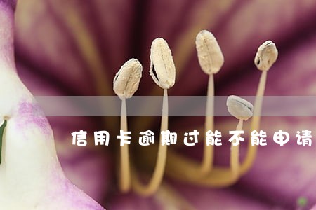 信用卡逾期过能不能申请房贷 信用卡逾期过能不能申请房贷