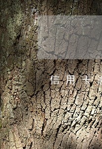 信用卡逾期过能出国吗 信用卡逾期过能出国吗