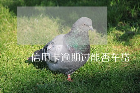 信用卡逾期过能否车岱 信用卡逾期过能否车岱