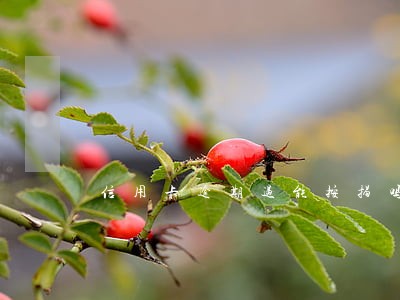 信用卡逾期过能按揭吗 信用卡逾期过能按揭吗