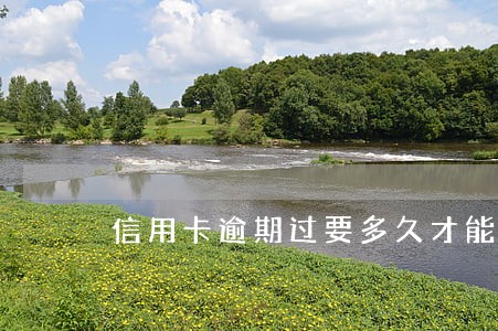 信用卡逾期过要多久才能贷款