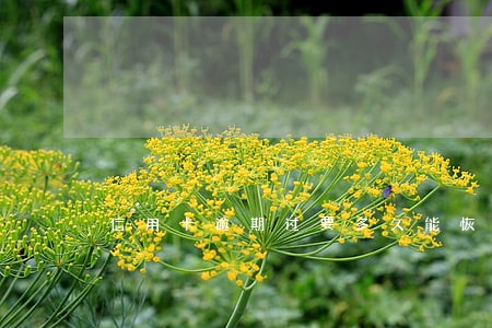 信用卡逾期过要多久能恢复 信用卡逾期过要多久能恢复