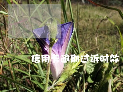 信用卡逾期过诉时效 信用卡逾期过诉时效
