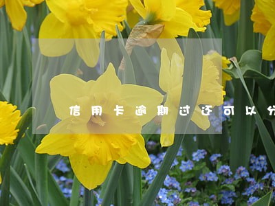 信用卡逾期过还可以分期买房吗