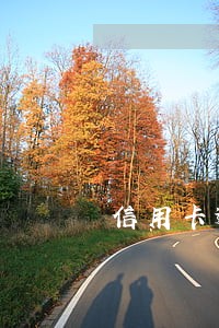 信用卡逾期过还有额度