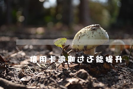 信用卡逾期过还能提升