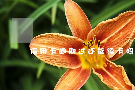 信用卡逾期过还能续卡吗 信用卡逾期过还能续卡吗