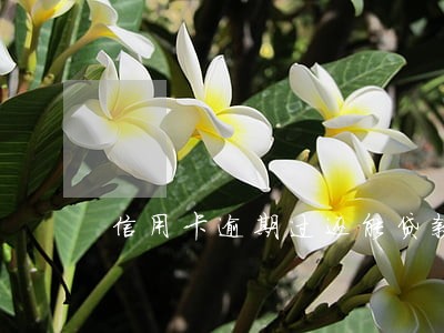 信用卡逾期过还能贷款吗6 信用卡逾期过还能贷款吗6