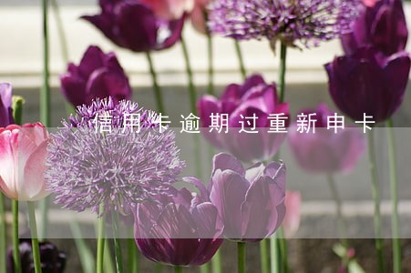 信用卡逾期过重新申卡 信用卡逾期过重新申卡
