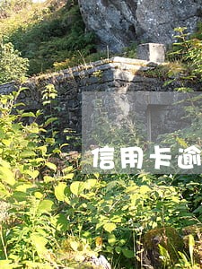 信用卡逾期过长后果 信用卡逾期过长后果