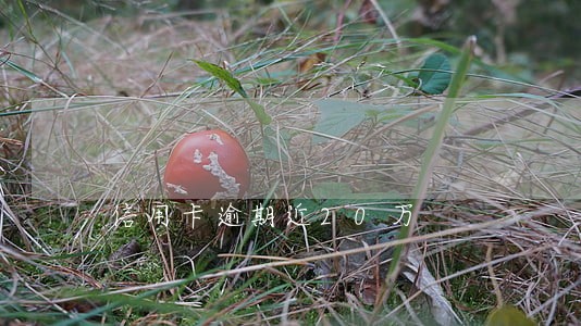信用卡逾期近20万 信用卡逾期近20万