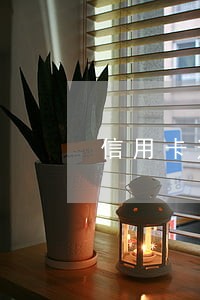信用卡逾期近半年 信用卡逾期近半年