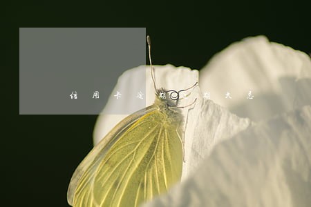 信用卡逾期近期大忌 信用卡逾期近期大忌
